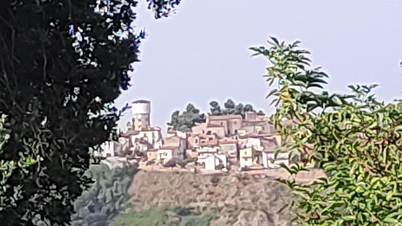 B&B I Tre Ulivi Morro dʼOro Extérieur photo