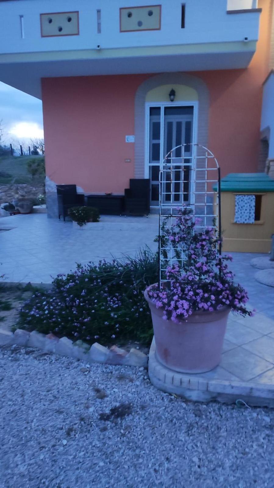 B&B I Tre Ulivi Morro dʼOro Extérieur photo